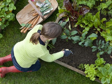 Team using PPE during garden maintenance