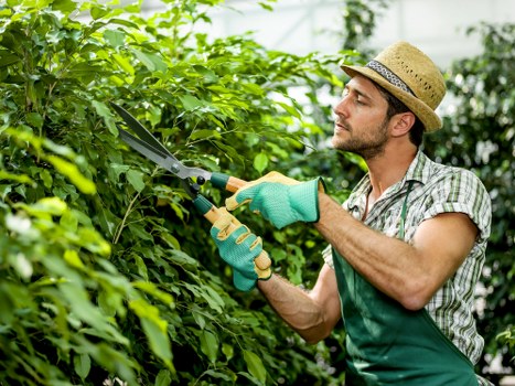 Why choose Gardener Limehouse for your gardening needs