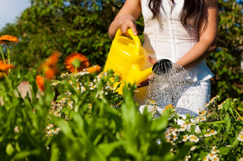 A woman watering a garden with a yellow watering can in a well-maintained outdoor space, featuring a variety of flowering plants, including orange and white blooms, and lush green foliage. The garden has a combination of flower beds and lawn areas, with a paved pathway or patio partially visible in the background. The scene appears to be set on a sunny day with natural daylight enhancing the vibrant colours of the plants. The environment suggests a typical residential garden in Limehouse, with organized planting and outdoor maintenance, aligning with professional gardening services offered by Gardener Limehouse. The overall setting highlights a tidy, flourishing garden designed for outdoor enjoyment and aesthetic appeal, exemplifying friendly landscape care and garden upkeep suited for urban or suburban outdoor spaces.